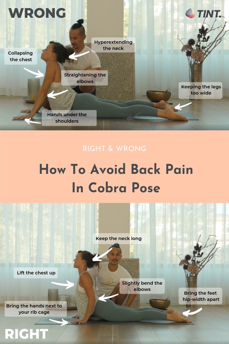 Yoga Poses for Back Pain | Yoga poses for back, Back pain, Yoga poses