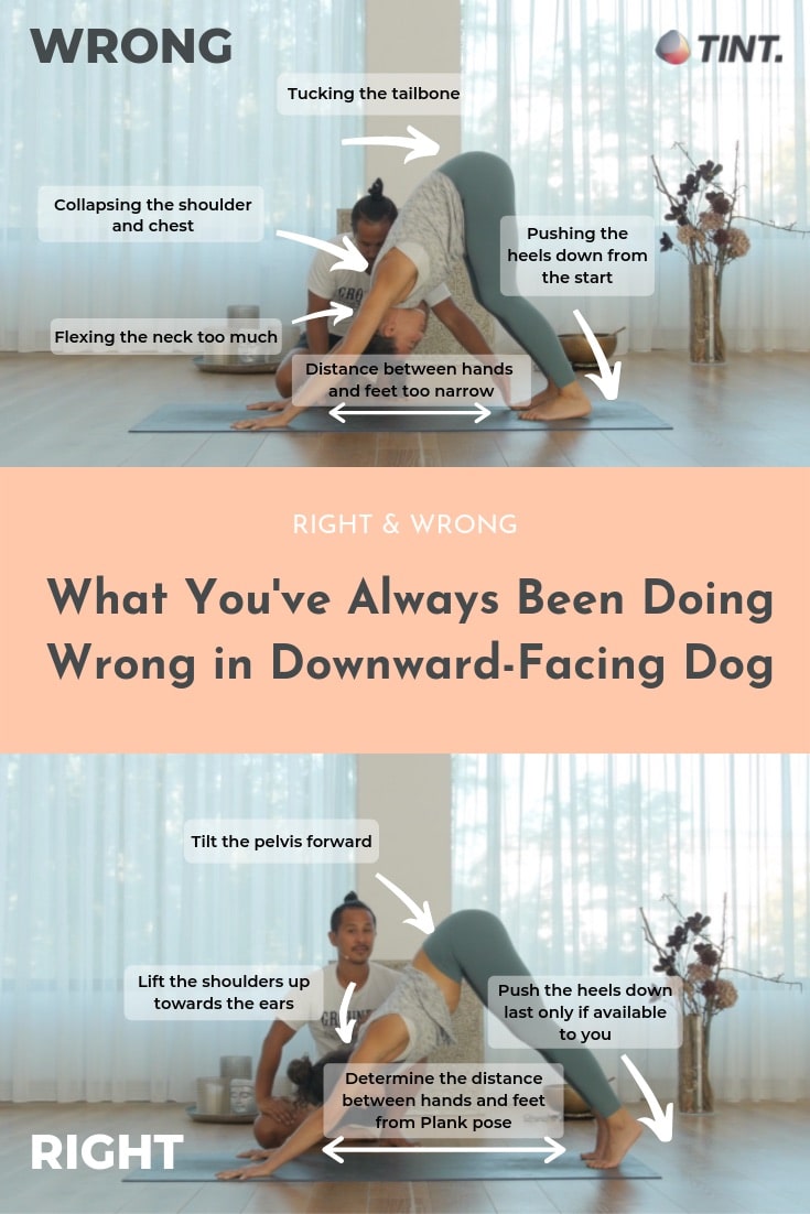 what are the benefits of downward facing dog