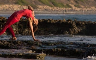 The Importance of Strength in Yoga – by Desirée Rumbaugh