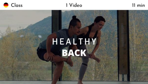 Young Ho Kim - Healthy Back (German)