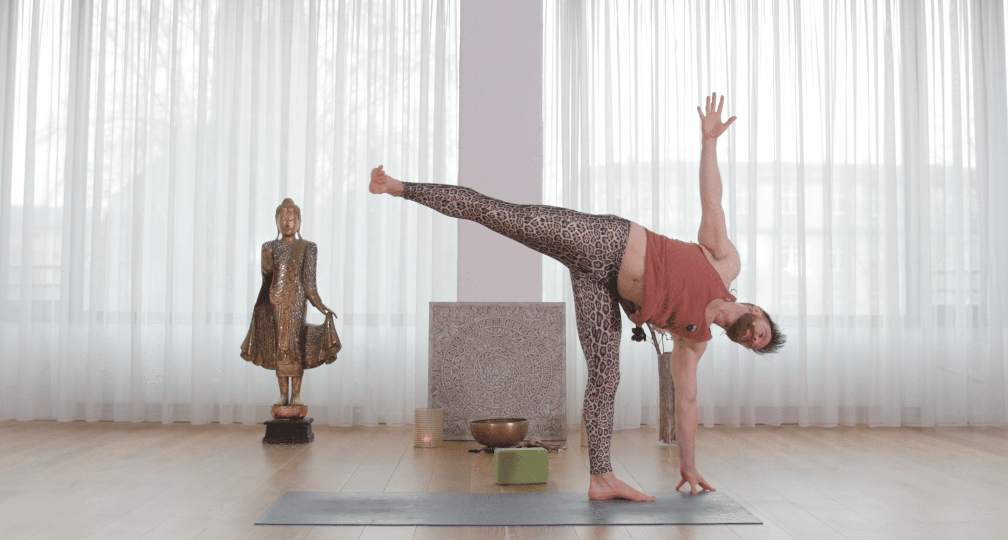 Your How-To Guides on Hatha Yoga Poses for Beginners