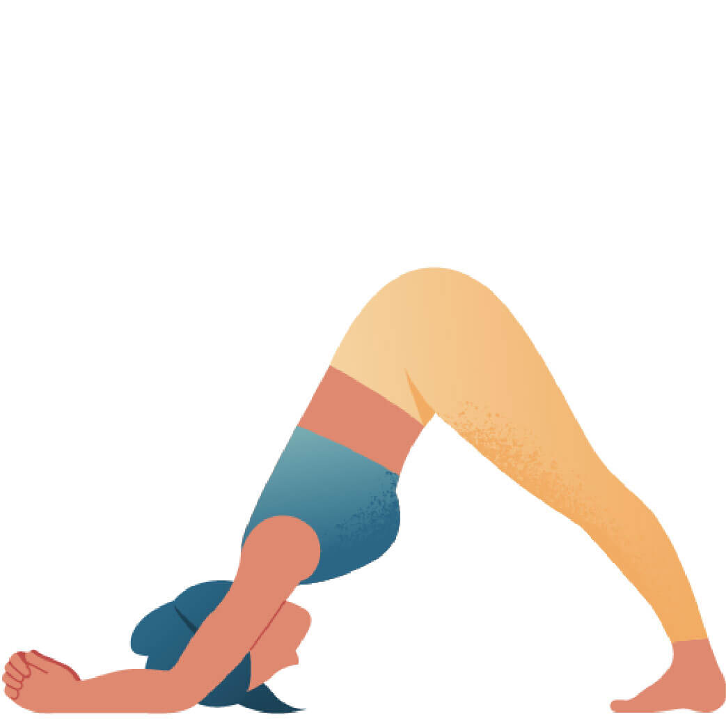 Catur Svanasana Dolphin Pose